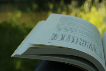 Das Buch steht auf einem hölzernen Couchtisch und grünes Gras schaut nach hinten