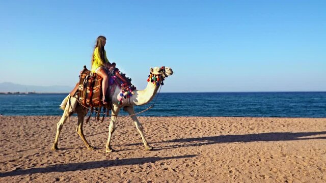 Egypt tourism with camel riding back, traditional entertainment. Girl rides oont goes on its own along beach background of sea and sky.