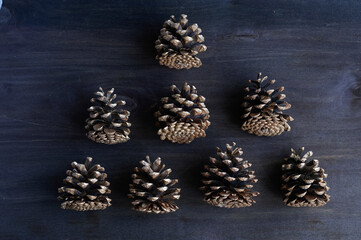 Obraz na płótnie Canvas pine cones on a dark background