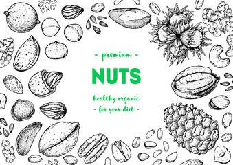Nuts collection hand drawn sketch. Vector illustration. Organic healthy food. Great for packaging design. Engraved style. Black and white color