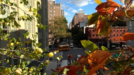 colorful houses in the New York city