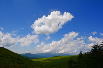 夏の青い空、白い雲、緑の山々。Blue sky, white clouds, mountains in the  summer.
