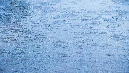Circles from raindrops on a blue water surface