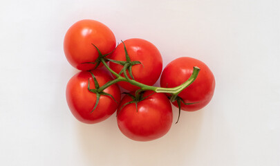 Red tomatoes on a twig on a white background. Red tomatoes on a white background