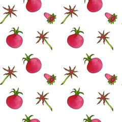 Exotic plants, fruit pattern. raspberry green. on a white background, objects for design, flora, watercolor botanical illustration with black stroke