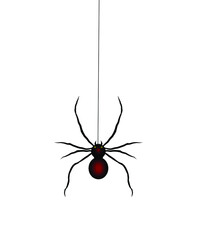 The spider crawls up the web. Spider icon for web and app. Black Widow spider. Stock vector illustration on white isolated background.