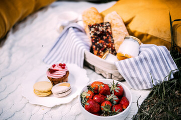 Strawberries, desserts, chocolate, muffins and macaroons. Picnic in the summer.