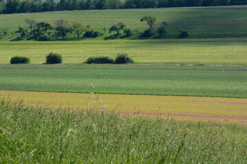 landscape of lower saxony