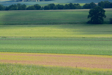 landscape of lower saxony