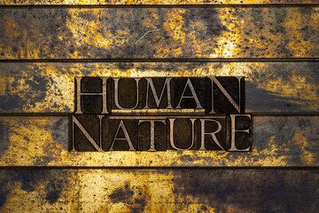 Photo of real authentic typeset letters forming Human Nature text on vintage textured silver grunge...