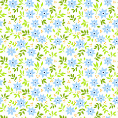 Vector seamless pattern. Pretty pattern in small flower. Small light blue flowers. White background. Ditsy floral background. The elegant the template for fashion prints.