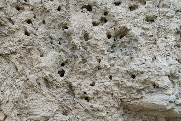 Wasp holes clayed soil or mud wall