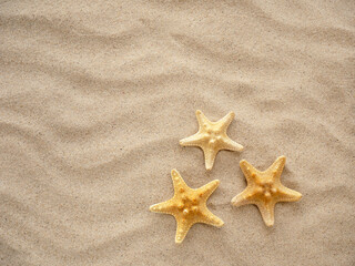 Fototapeta na wymiar Three starfish are lying on the sand. Concept of vacation, sea, travel
