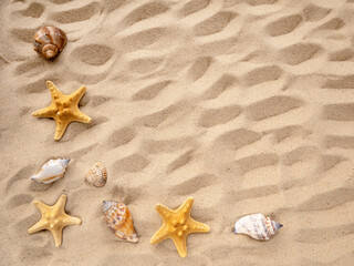 Fototapeta na wymiar sea stars and shells lie on the sand. The concept of rest, sea, travel. Copy space