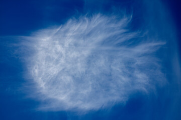A beautiful white cloud in the form of a fish against a blue sky.