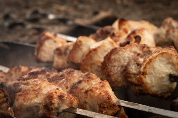 skewers fried on a bonfire on skewers