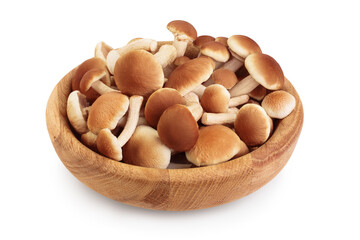 honey fungus mushrooms in wooden bowl isolated on white background with clipping path and full depth of field