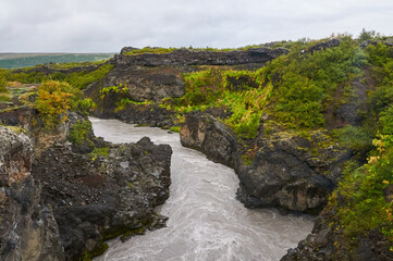 Fototapeta na wymiar watercourse in Iceland full of vegetation on the banks