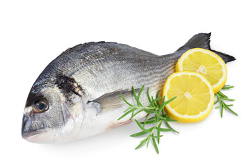 Fish dorado isolated on white background with clipping path and full depth of field.