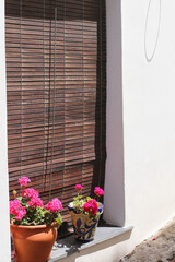 Fototapeta na wymiar Window decorated with flower pots on the street Capileira Spain