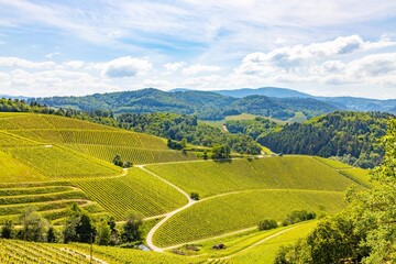 Fototapeta premium Deutschland Tourismus - Weingebiet // Durlach bei Offenburg