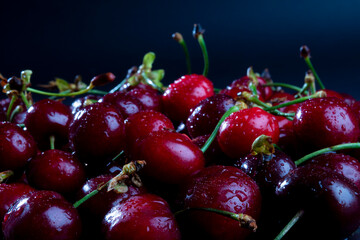 Side view on stacked fresh, wet, dark cherries. Water drops on bright shiny dark red fruits with stalks. Dramatic black background with space for text