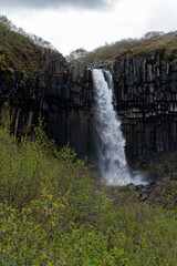 Fototapeta premium The iconic Svartifoss waterfall in Skaftafell, Vatnajokull National Park, Southeast Iceland