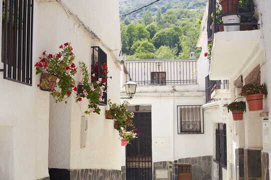 Trevelez village in the Alpujarras mountains, province of Granada, Andalusia, Spain - May 29, 2019: - narrow cobblestone street with whitewashed houses and flower pots.