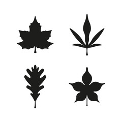 Obraz premium Set of leaves vector 