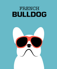 Cute cartoon french bulldog. Hand drawn vector illustration art on blue pastel background .White French bulldog wearing red sunglasses. 