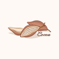 Cocoa vector illustration design