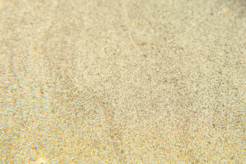 dirty water surface close-up. background of dirty water