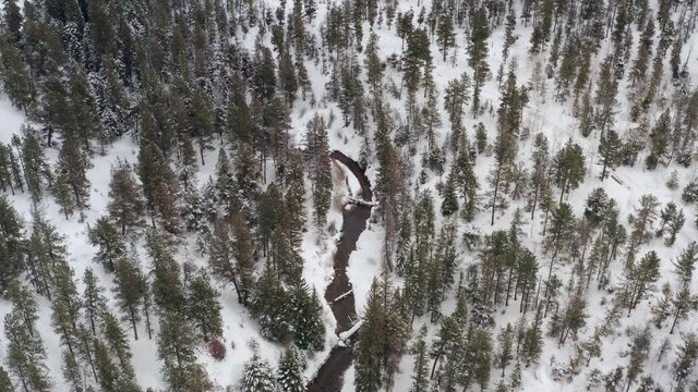 Isolated road in middle of snowy forest, Colorado. Aerial