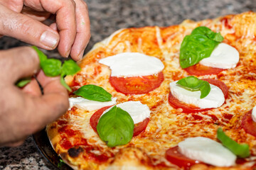 Pizza - Mozzarella - Basilikum - Käse - frisch