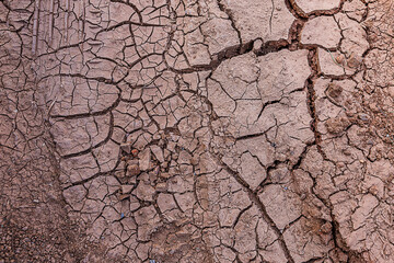 Fototapeta premium Cracked dry soil. The great drought in Central Europe.
