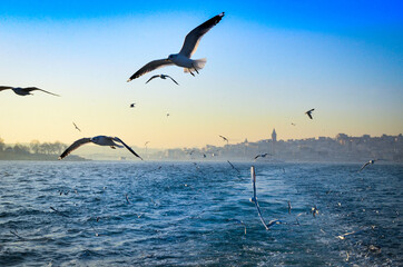 Fototapeta na wymiar Galata Tower and Golden Horn at Bosphorus, Istanbul, Turkey 