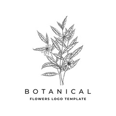 Botanical flowers hand drawn logo Vector