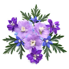 Obraz na płótnie Canvas Three delphinium blue flowers with leaf aconitum isolated on white background. Macro, studio. Beautiful floral composition pattern. Violet, object. Flat lay, top view