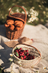 picnic baskets with croissants and cherries in a chamomile field