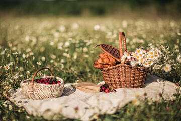 picnic baskets with croissants and cherries in a chamomile field