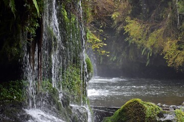 AGUA