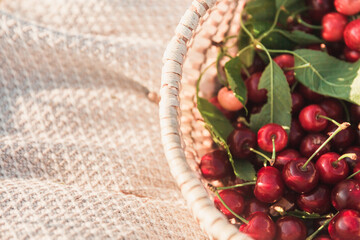 red cherries in a basket on green leaves