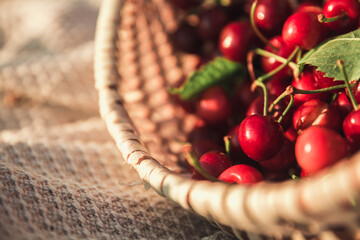 red cherries in a basket on green leaves