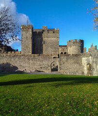 Fototapeta na wymiar Old castle in ireland