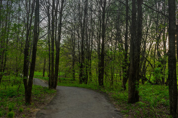 Naklejka premium St-Charles River spring 2020