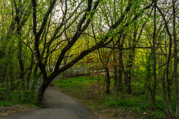 Naklejka premium St-Charles River spring 2020