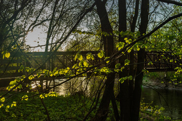Fototapeta na wymiar St-Charles River spring 2020