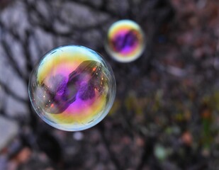 Colorful large floating bubble, out of focus grey trees in background, cityscape reflected in bubble