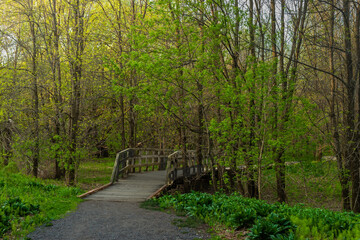 St-Charles River spring 2020