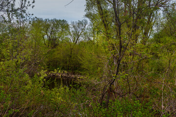 St-Charles River spring 2020